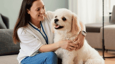 Celebrating Your Pet: Fun Ways to Include Them in Family Events