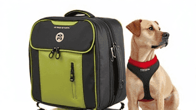 Must-Have Travel Gear for Pet Parents: From Carriers to Safety Kits