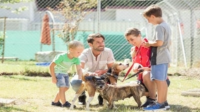 Teaching Kids About Pet Adoption: Why Rescue Pets Make Great Family Members